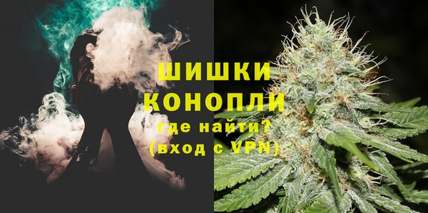гидропоника Бородино