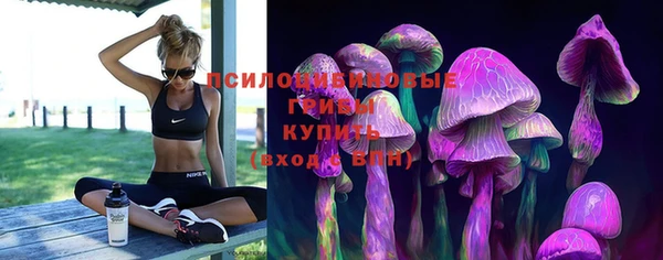 гидропоника Бородино